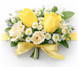 Buttercup Daisy