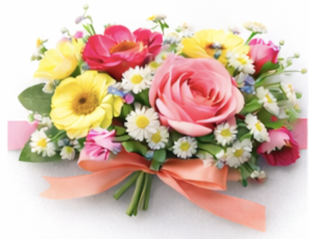 Petal Garden